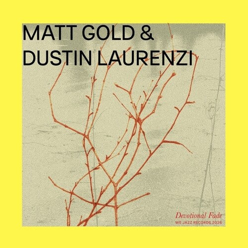 MATT GOLD / DUSTIN LAURENZI - Devotional Fade (VINYL) | Mint (M) Mint (M)