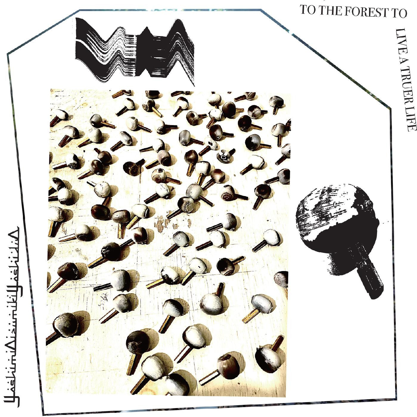 YoshimiOizumikiYoshiduO - To The Forest To Live A Truer Life |