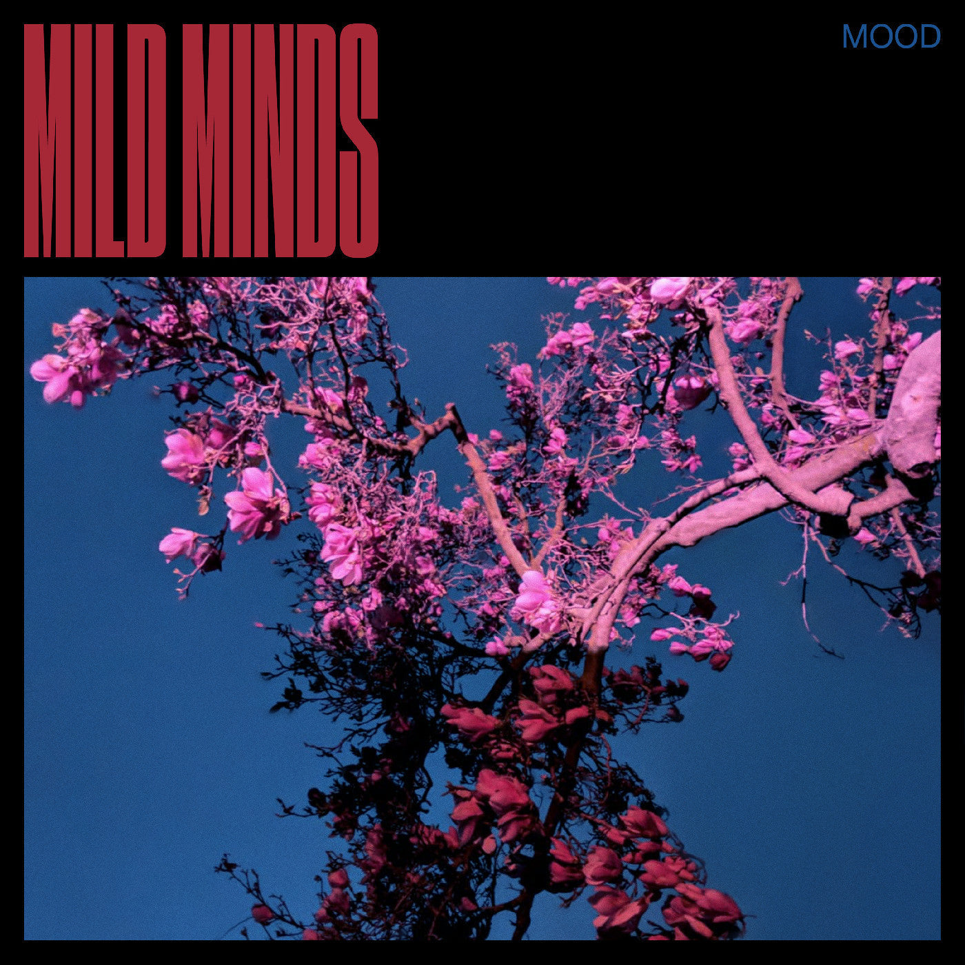 Mild Minds - MOOD (BLUE VINYL) |