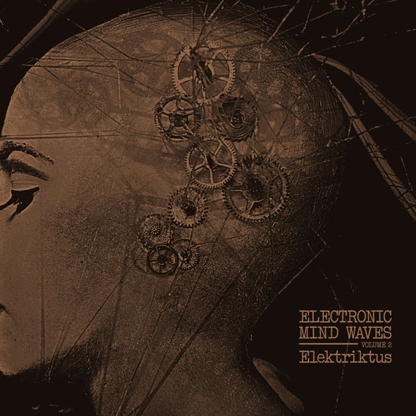 Elektriktus - Electronic Mind Waves Volume 2 [LP] |