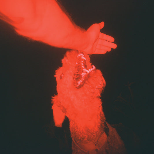 A Trick Of The Light (VINYL) | Mint (M) Mint (M)