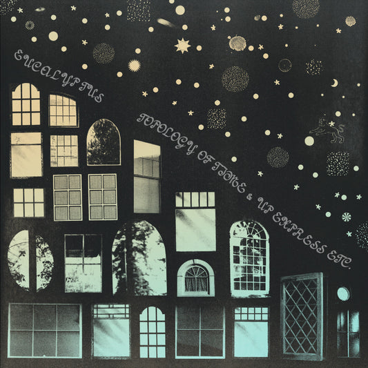 Eucalyptus - Topology Of Time & Up Express Etc. (VINYL) | Mint (M) Mint (M)