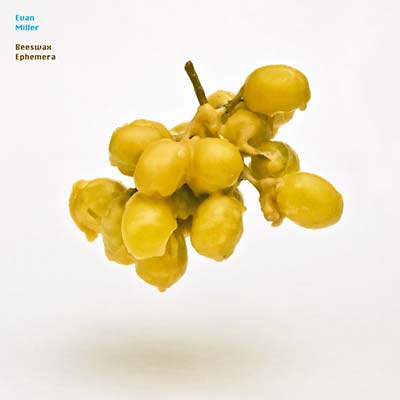 Beeswax Ephemera (CD) | Mint (M) Mint (M)
