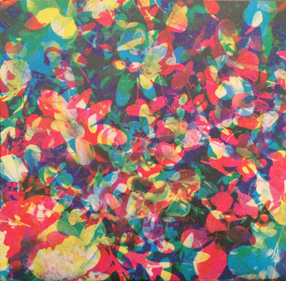 Caribou - Our Love (VINYL) | Mint (M) Mint (M)