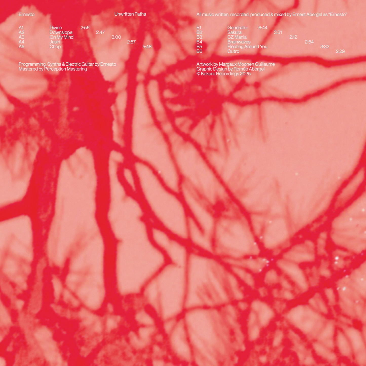 Ernesto - Unwritten Paths (VINYL) | Mint (M) Mint (M)
