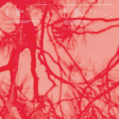 Ernesto - Unwritten Paths (VINYL) | Mint (M) Mint (M)