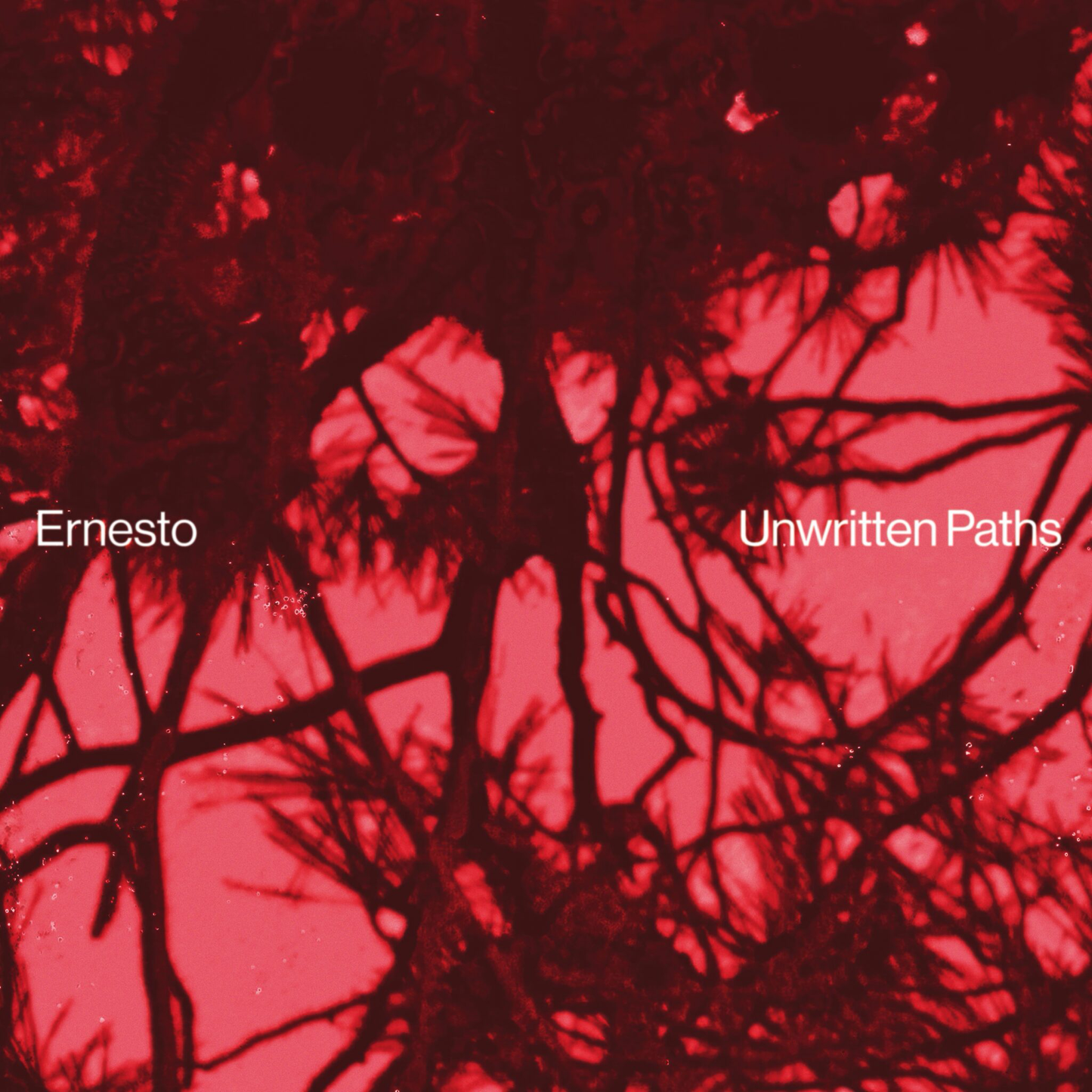Ernesto - Unwritten Paths (VINYL) | Mint (M) Mint (M)