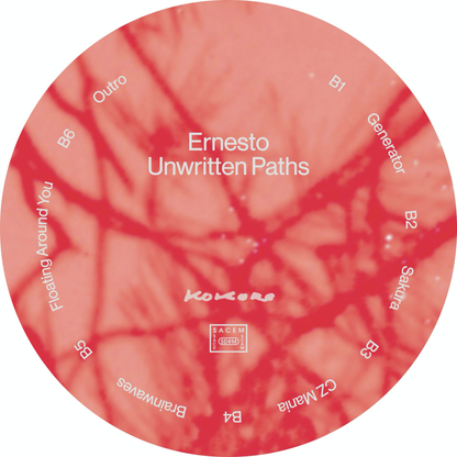 Ernesto - Unwritten Paths (VINYL) | Mint (M) Mint (M)