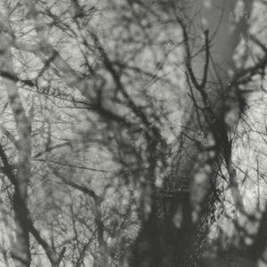 Grouper - Way Their Crept (VINYL) | Mint (M) Mint (M)