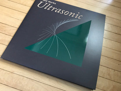 Ultrasonic (2xVINYL) |