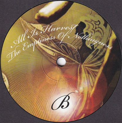Amorphous Androgynous - The World Is Full Of Plankton (10" RSD 2021 VINYL) | Mint (M) Mint (M)
