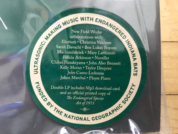 Ultrasonic (2xVINYL) |