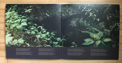 Ultrasonic (2xVINYL) |