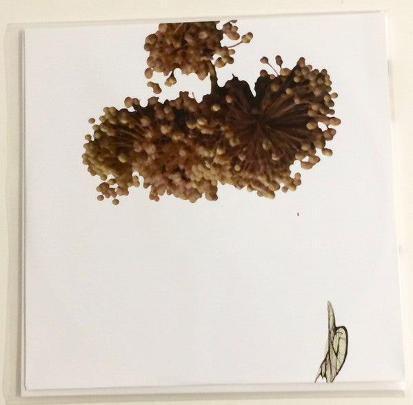 The Ape Of Naples | Mint (M) Mint (M)