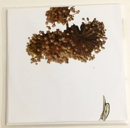 The Ape Of Naples | Mint (M) Mint (M)