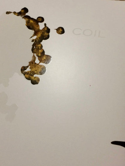 The Ape Of Naples | Mint (M) Mint (M)