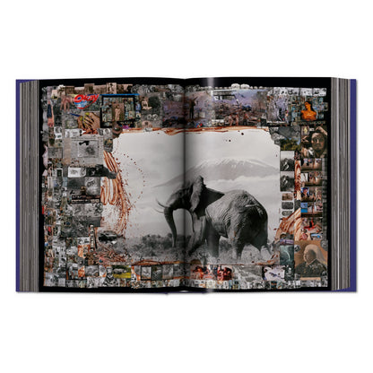 Peter Beard (German, French, English)