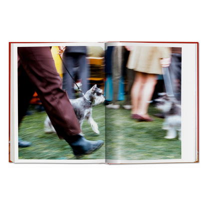 Walter Chandoha. Dogs. Photographs 1941–1991 (German, French, English)