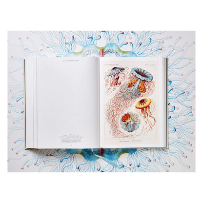 The Art and Science of Ernst Haeckel (German, French, English)