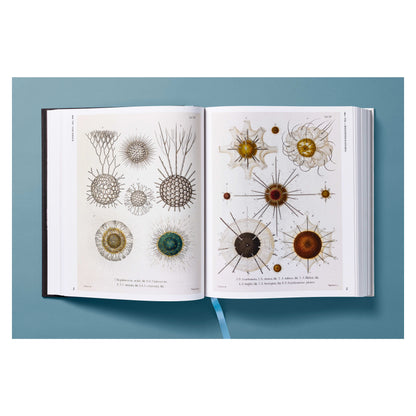 The Art and Science of Ernst Haeckel (German, French, English)