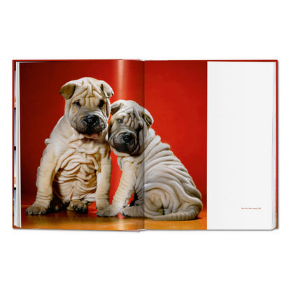 Walter Chandoha. Dogs. Photographs 1941–1991 (German, French, English)