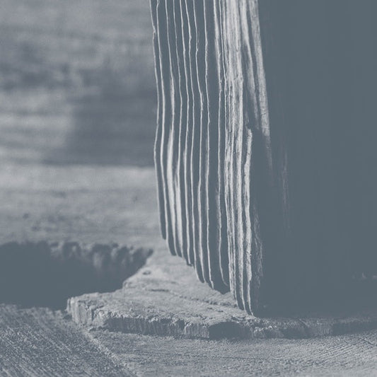 Nessun LegameCon La Polvere |