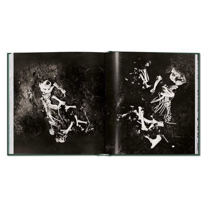 Peter Beard. The End of the Game (English)