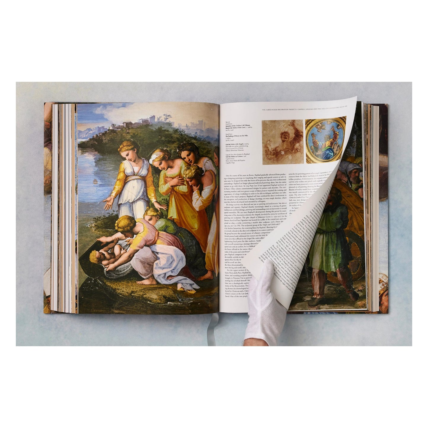 Raphael. The Complete Works. Paintings, Frescoes, Tapestries, Architecture (English)