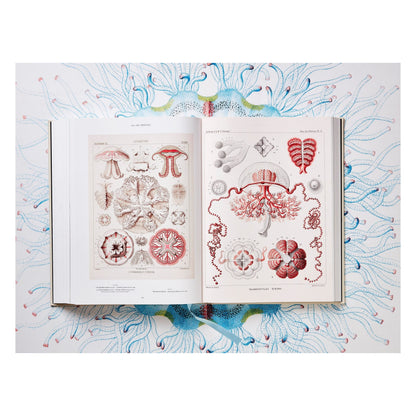 The Art and Science of Ernst Haeckel (German, French, English)
