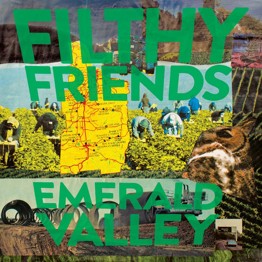 Emerald Valley (CD) | Mint (M) Mint (M)