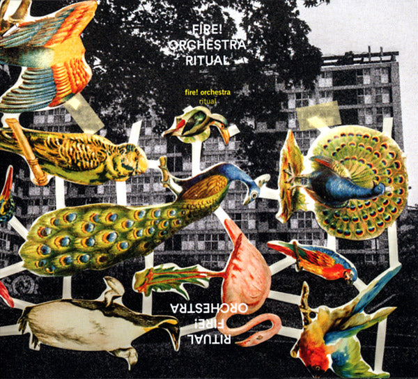 Ritual | – Wow Cool