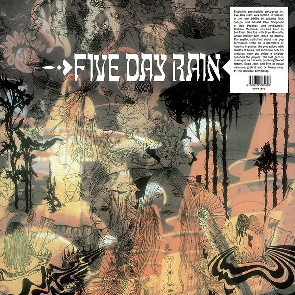 Five Day Rain |
