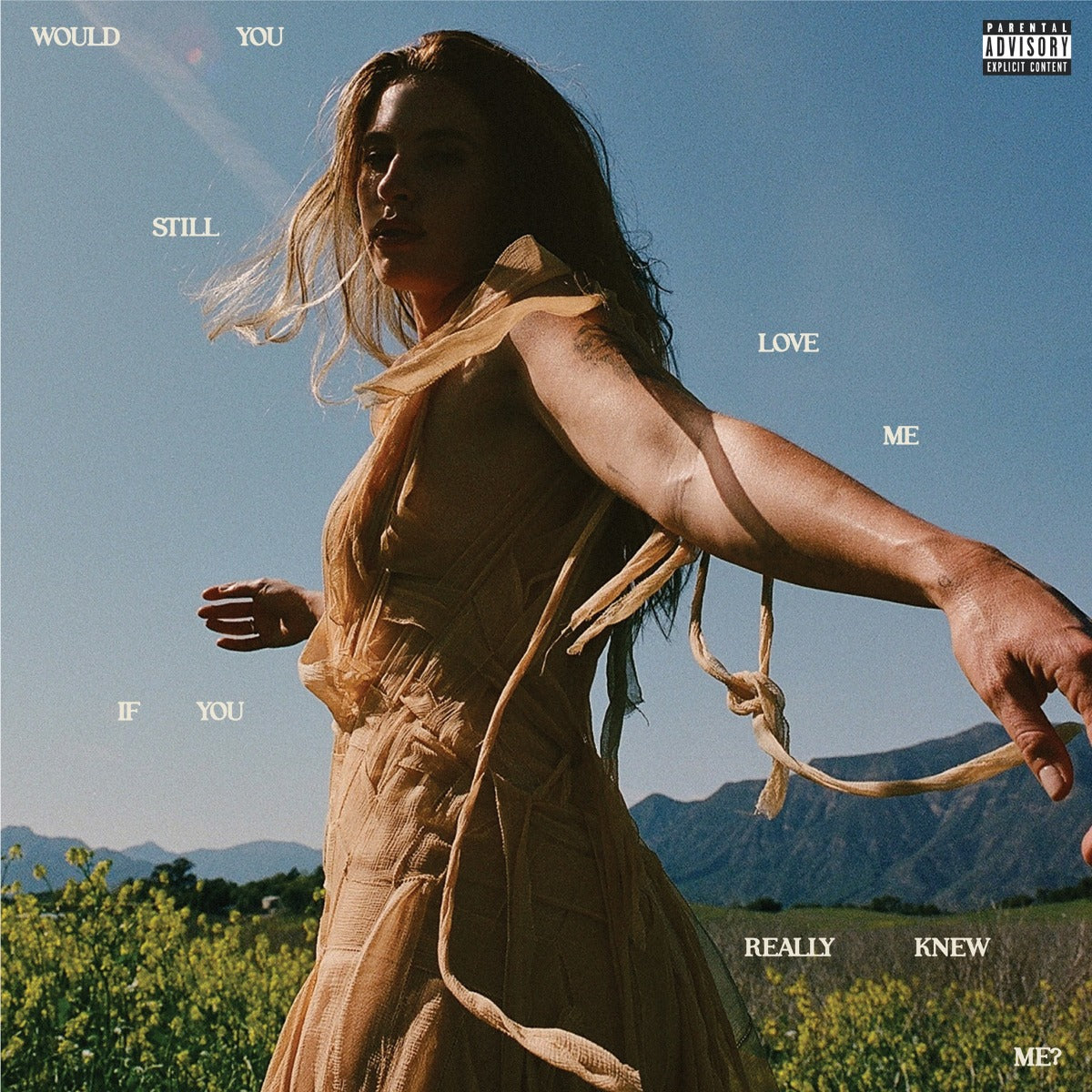 Would You Still Love Me If You Really Knew Me? [Lp] |