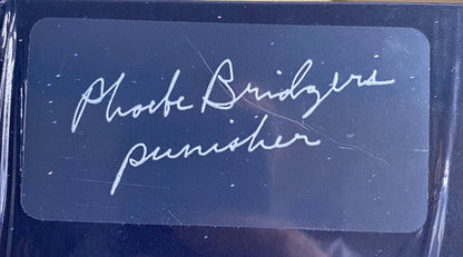 Phoebe Bridgers Punisher