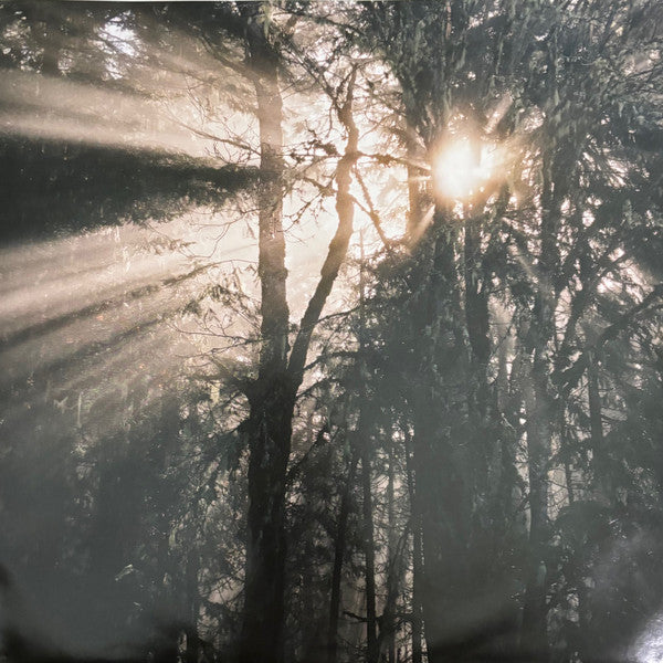 Nathaniel Rateliff - And It's Still Alright (VINYL) | Mint (M) Mint (M)