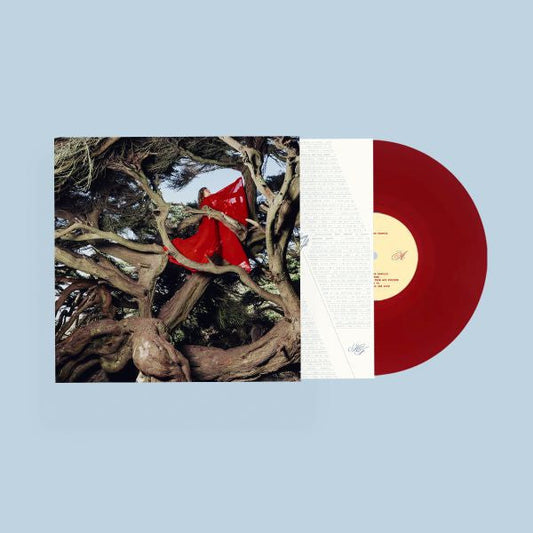 Nested In Tangles (Ruby Red VINYL) | Mint (M) Mint (M)