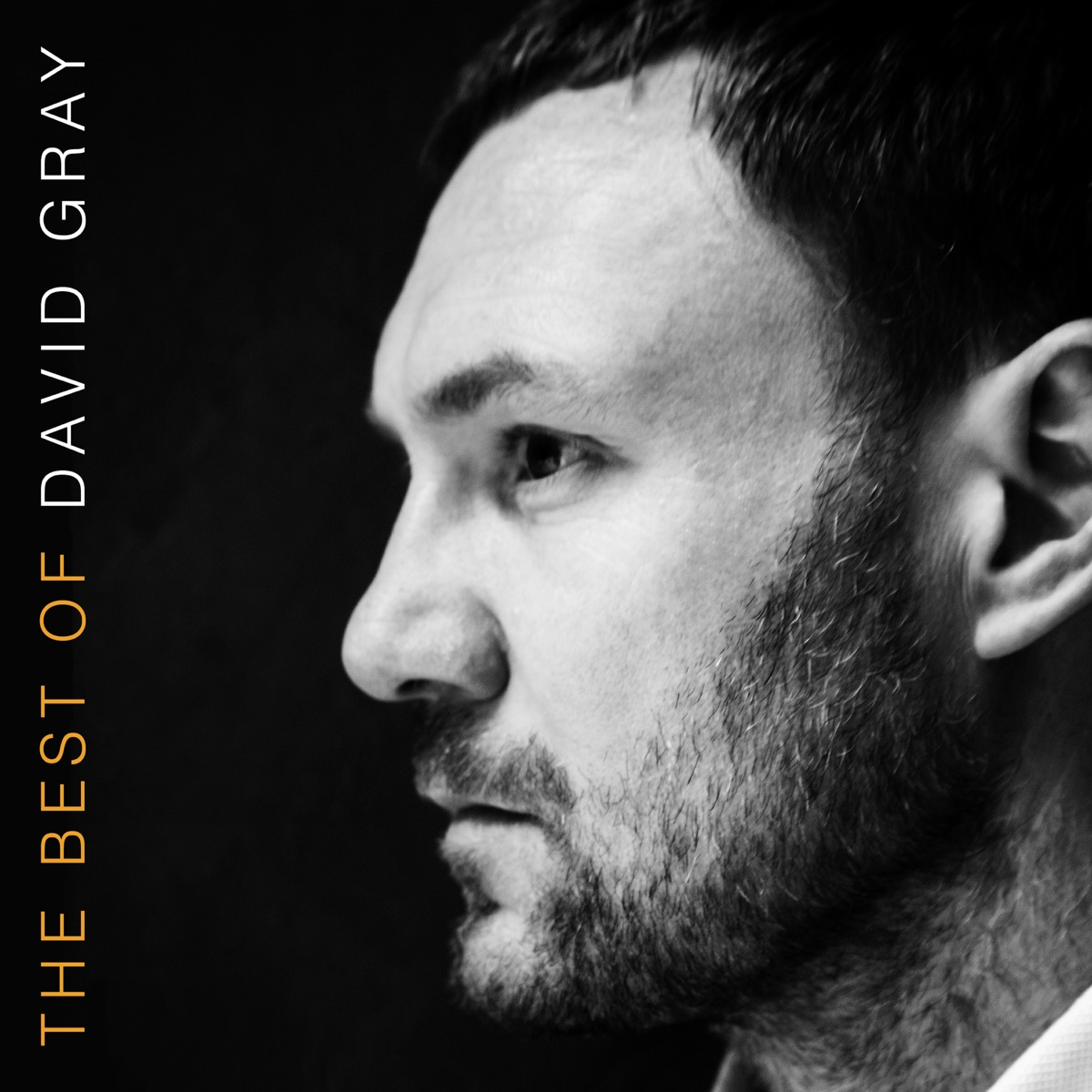 The Best Of David Gray (BEST BUY EXCLUSIVE | ORANGE VINYL) | Mint (M) Mint (M)