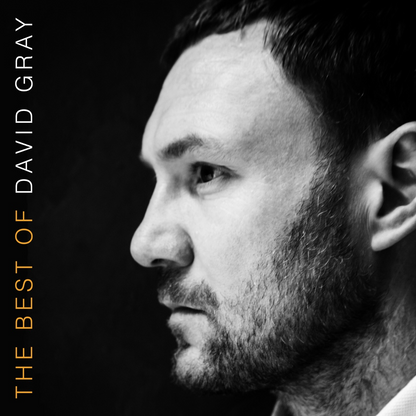 The Best Of David Gray (BEST BUY EXCLUSIVE | ORANGE VINYL) | Mint (M) Mint (M)