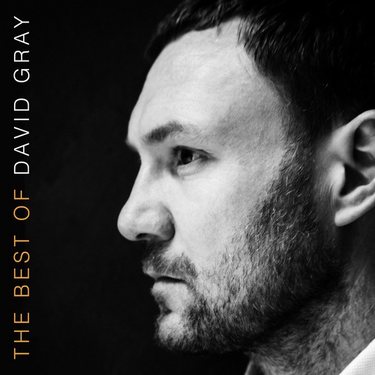The Best Of David Gray (BEST BUY EXCLUSIVE | ORANGE VINYL) | Mint (M) Mint (M)
