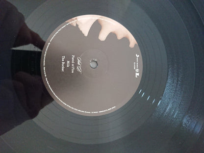 Aha Shake Heartbreak | Mint (M) Mint (M)