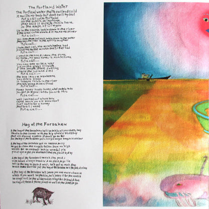 Snockument - Songs By Michael Hurley (VINYL) | Mint (M) Mint (M)