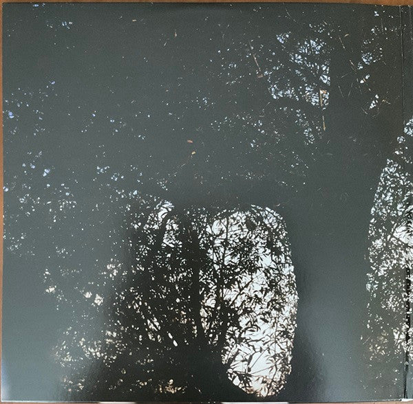 Leif Vollebekk - Revelation (VINYL) | Mint (M) Mint (M)