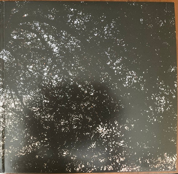 Leif Vollebekk - Revelation (VINYL) | Mint (M) Mint (M)