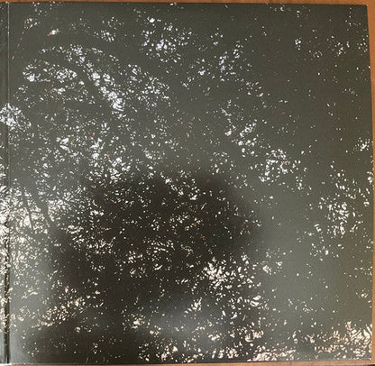 Leif Vollebekk - Revelation (VINYL) | Mint (M) Mint (M)