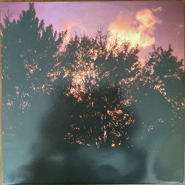 Leif Vollebekk - Revelation (VINYL) | Mint (M) Mint (M)