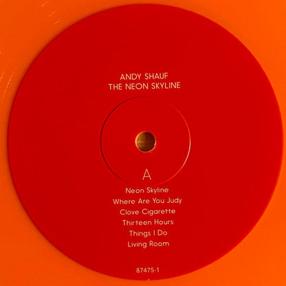 The Neon Skyline (VINYL) | Near Mint (NM) Near Mint (NM)