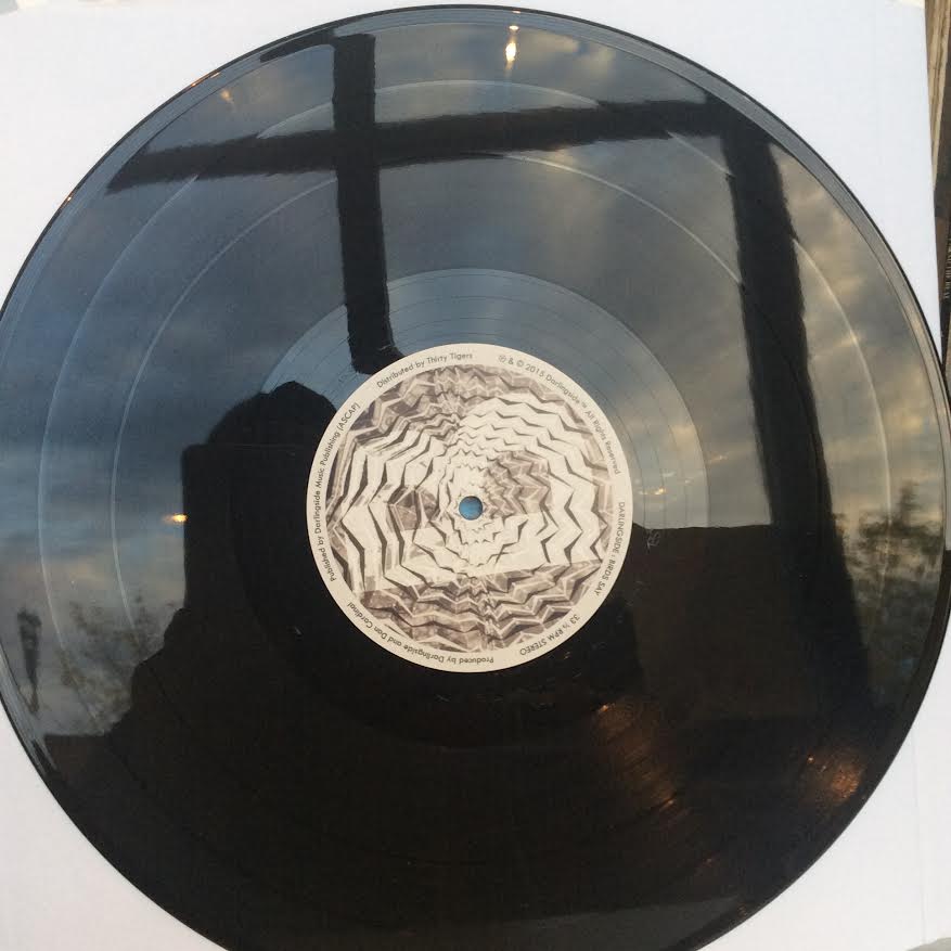 Darlingside - Birds Say (2xVINYL) | Near Mint (NM) Near Mint (NM)