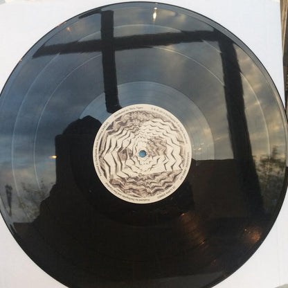 Darlingside - Birds Say (2xVINYL) | Near Mint (NM) Near Mint (NM)