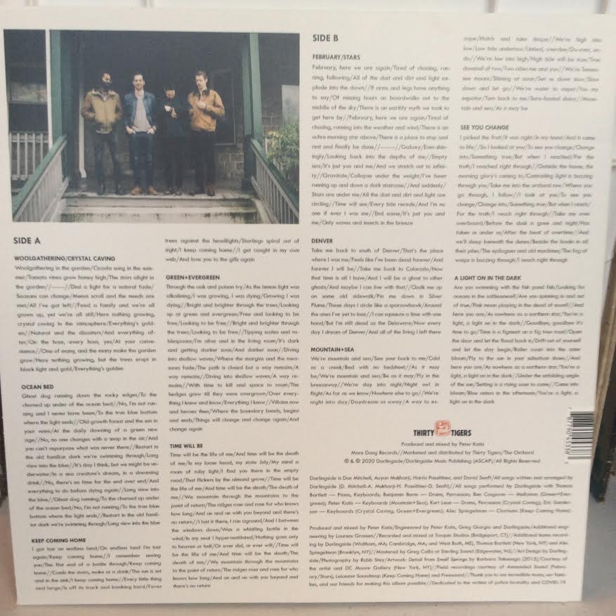 Darlingside - Fish Pond Fish (VINYL) | Near Mint (NM) Near Mint (NM)