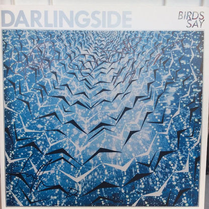 Darlingside - Birds Say (2xVINYL) | Near Mint (NM) Near Mint (NM)